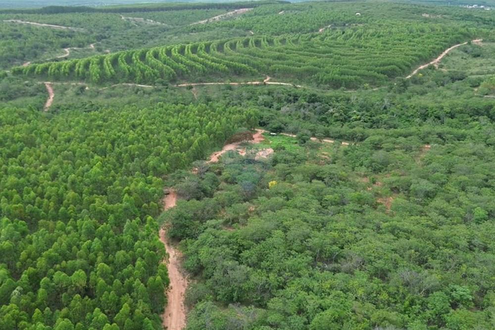 Fazenda - Venda - Inimutaba , Minas Gerais - Imagem instantânea 7.jpg - 870411101-21