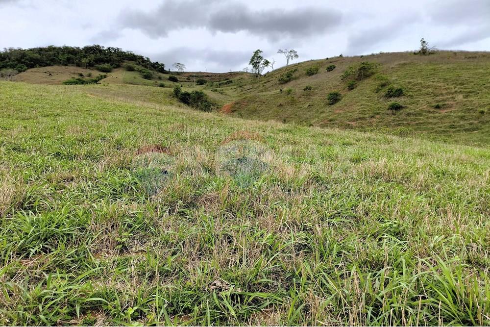 Chácara / Sítio / Fazenda - Venda - Ipanema , Minas Gerais - 4_image_4_watermark_qui._20112025_124802.jpg - 870451013-80