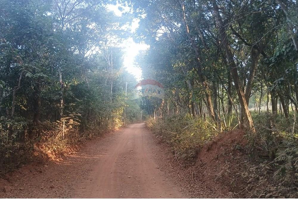 Chácara / Sítio / Fazenda - Venda - Pedro Leopoldo , Minas Gerais - 20250609_164128.jpg - 870411101-6