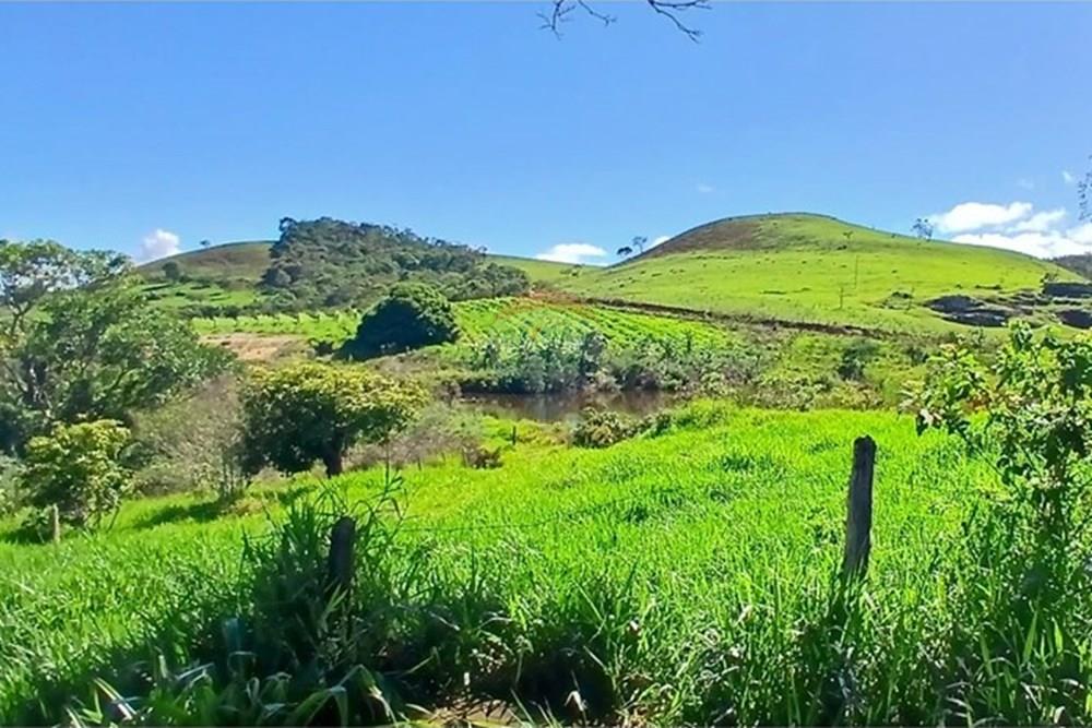 Fazenda - Venda - Serro , Minas Gerais - WhatsApp Image 2025-11-22 at 10.11.32 (1).jpeg - 870411101-18