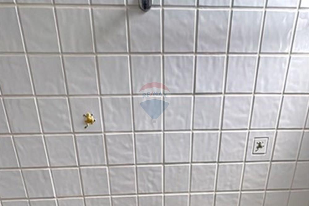 Casa - Venda - Belo Horizonte , Minas Gerais - WhatsApp Image 2026-03-03 at 11.55.48 AM.jpeg - 870371007-43