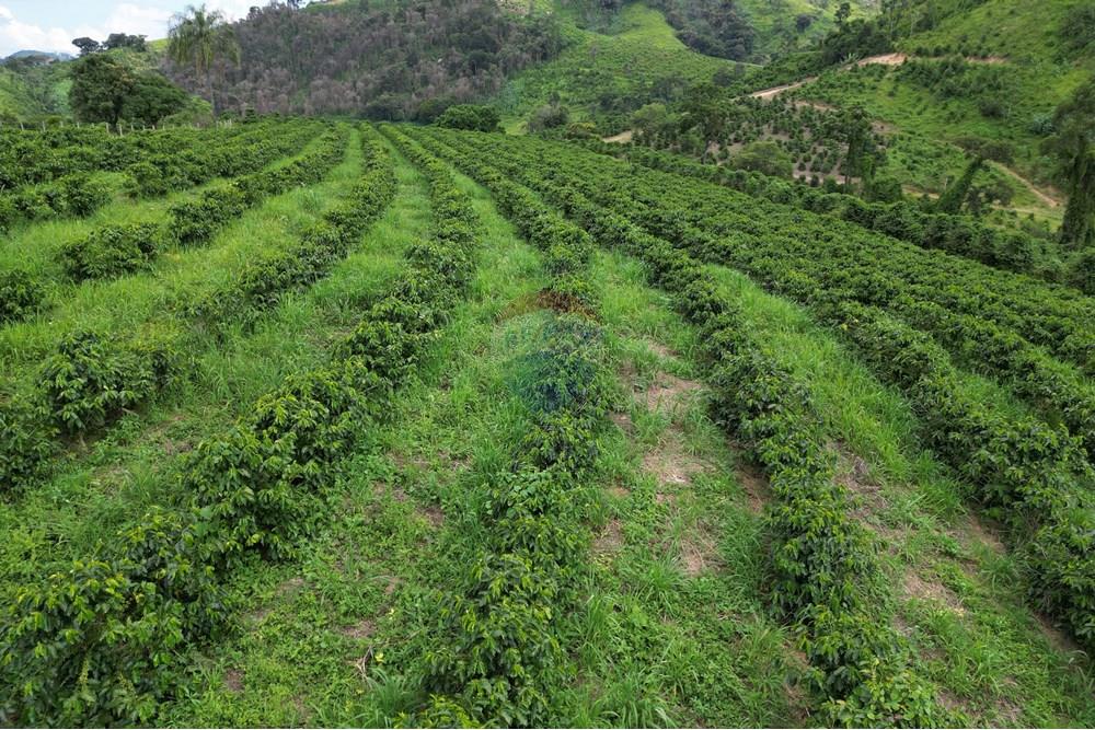 Fazenda - Venda - Caconde , São Paulo - DJI_0997.JPG - 870361041-102