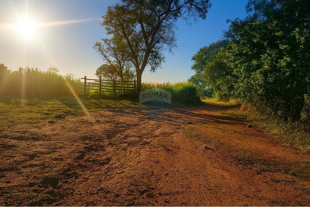 Chácara / Sítio / Fazenda - Venda - Ibirité , Minas Gerais - 8e8fbacc-d2fb-477f-aba1-adc388968bee.jpeg - 870241024-77