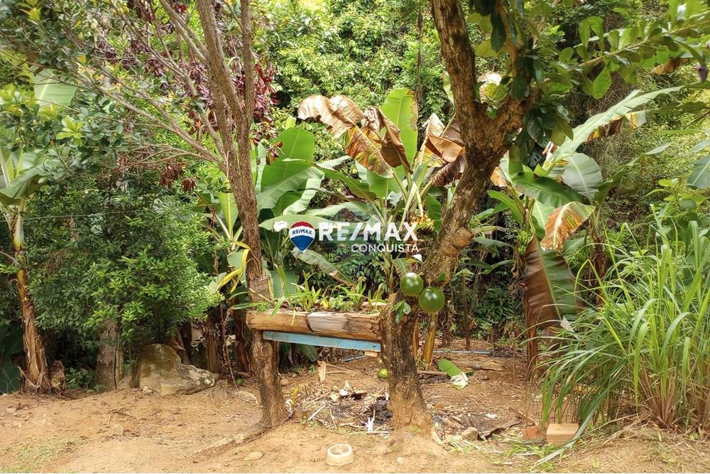 Chácara / Sítio / Fazenda - Venda - Ipanema , Minas Gerais - 5_image_5_watermark_seg._12052025_100735.jpg - 870451004-100