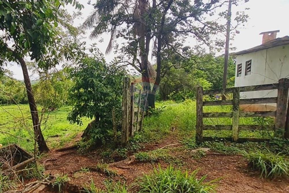 Fazenda - Venda - Pedro Leopoldo , Minas Gerais - WhatsApp Image 2025-12-11 at 15.20.31 (2).jpeg - 870411117-34