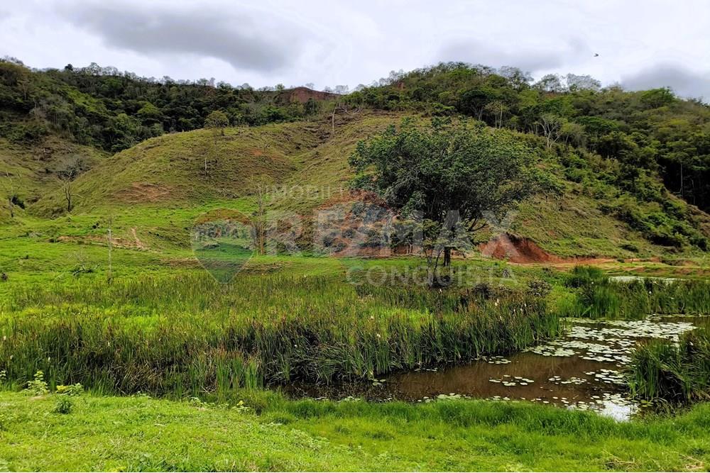 Chácara / Sítio / Fazenda - Venda - Ipanema , Minas Gerais - 7_image_7_watermark_qui._20112025_124548.jpg - 870451013-80