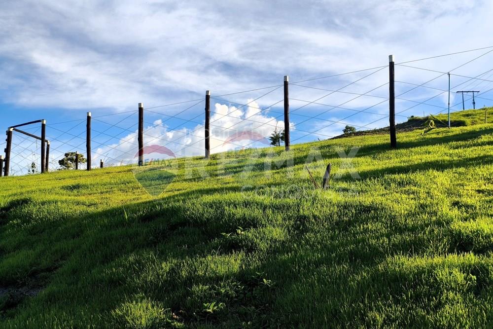 Chácara / Sítio / Fazenda - Venda - Conceição de Ipanema , Minas Gerais - 9_image_9_watermark_dom._11012026_131533.jpg - 870451004-113