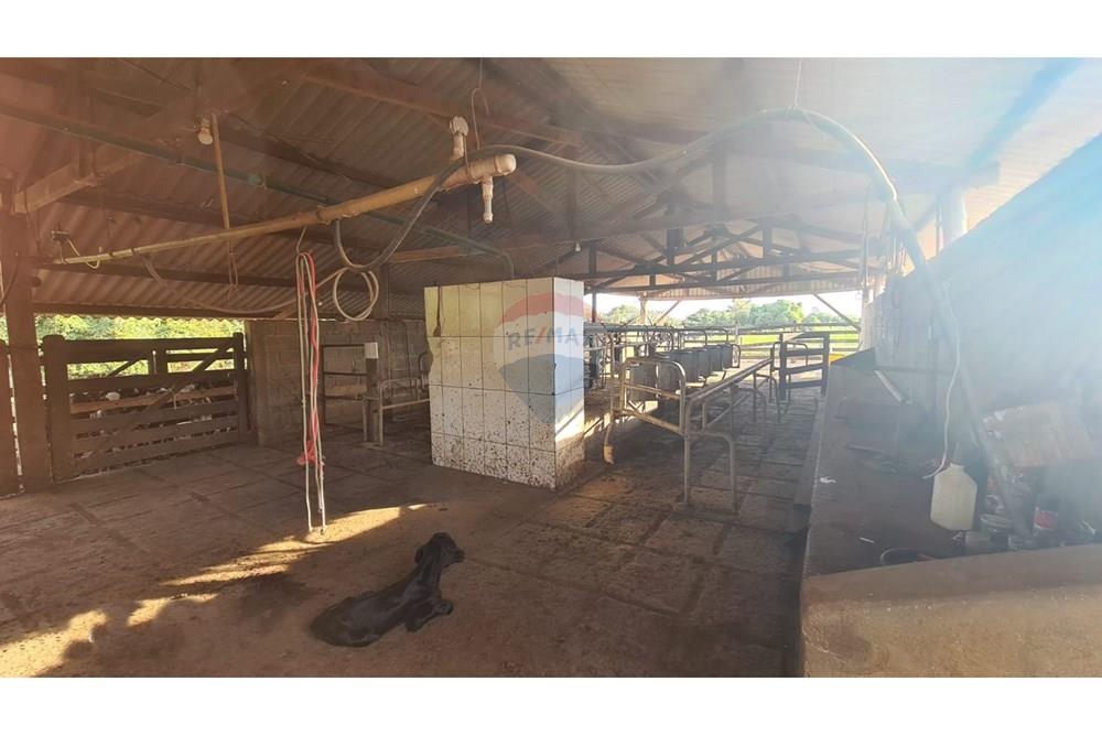 Fazenda - Venda - Uberaba , Minas Gerais - 05 Fazenda Venda R$ 6.500.000 em Uberaba na Remax 870291025-116.jpeg - 870291025-116