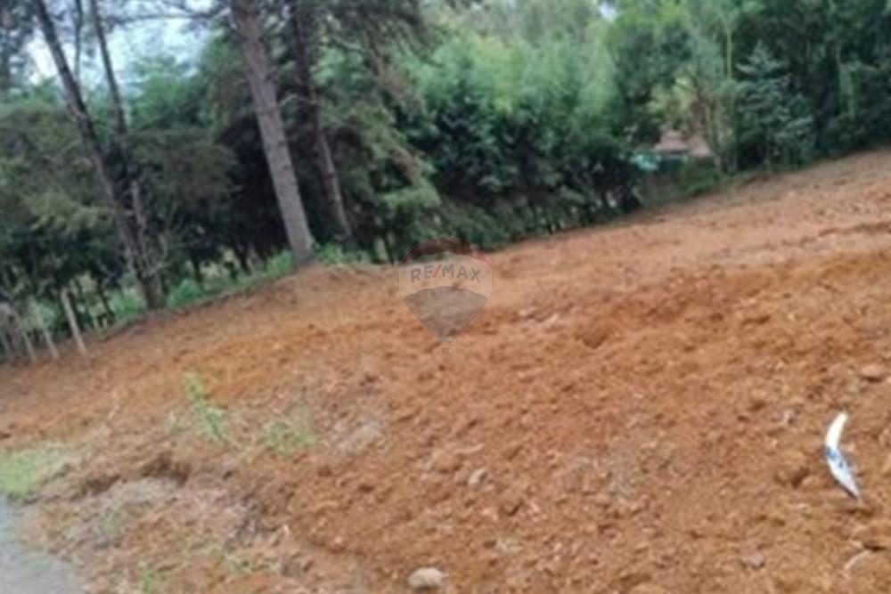 Terreno - Venda - Poços de Caldas , Minas Gerais - Captura de tela 2026-03-12 101005.jpg - 870361071-16