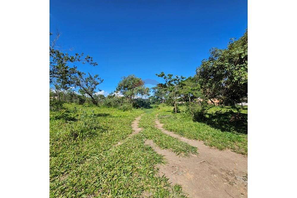 Terreno - Venda - Contagem , Minas Gerais - 20260112_152333.jpg - 870241034-67
