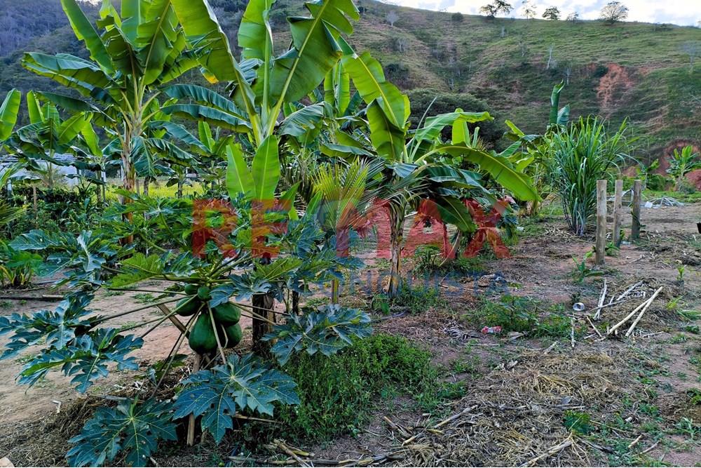 Chácara / Sítio / Fazenda - Venda - Conceição de Ipanema , Minas Gerais - 6_image_6_watermark_seg._01092025_205144.jpg - 870451001-144