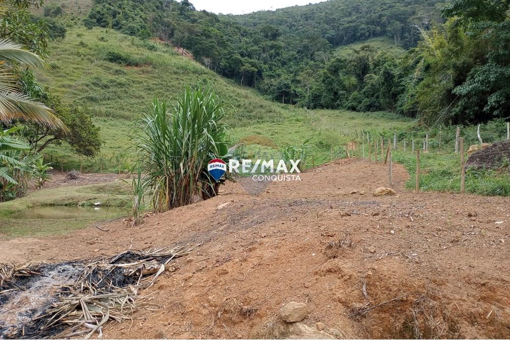 Chácara / Sítio / Fazenda - Venda - Ipanema , Minas Gerais - 1_image_1_watermark_seg._12052025_100733.jpg - 870451004-100