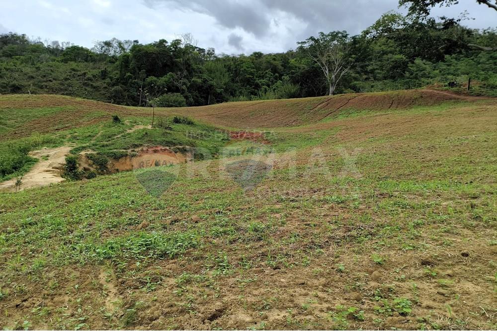 Chácara / Sítio / Fazenda - Venda - Ipanema , Minas Gerais - 7_image_7_watermark_qui._20112025_124339.jpg - 870451013-80