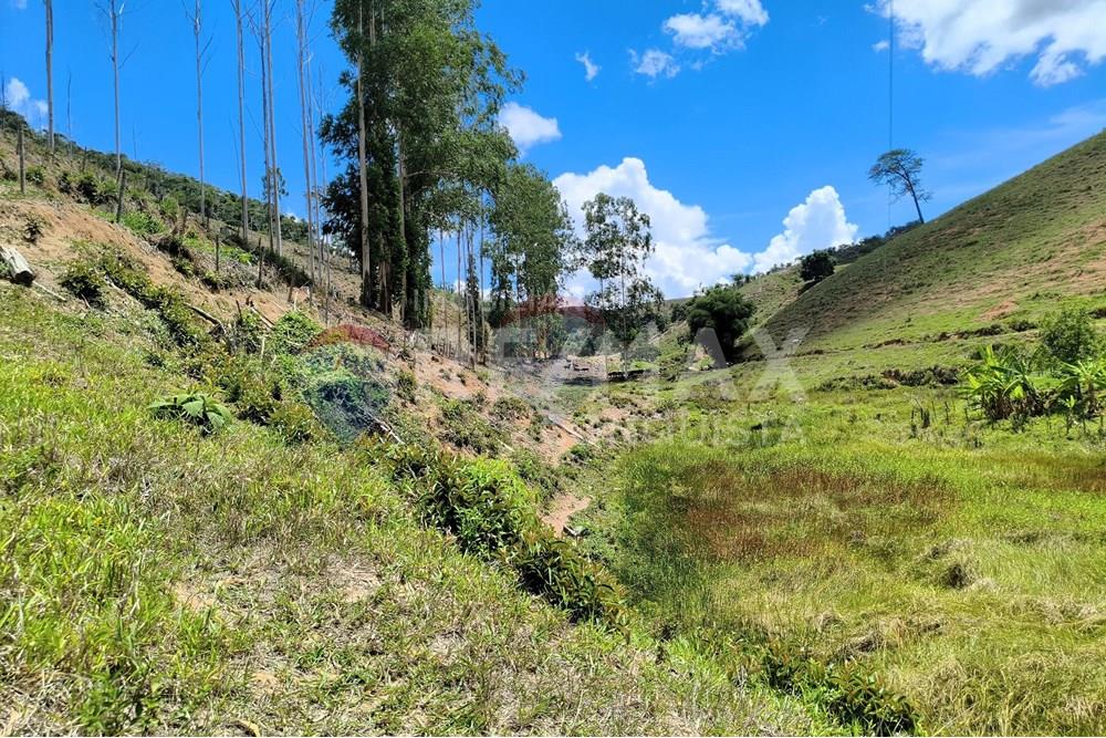 Chácara / Sítio / Fazenda - Venda - Taparuba , Minas Gerais - 7_image_7_watermark_sex._19122025_102308.jpg - 870451001-158