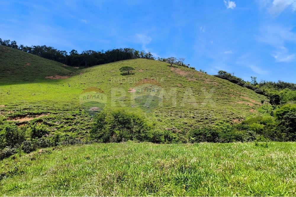 Chácara / Sítio / Fazenda - Venda - Taparuba , Minas Gerais - 4_image_4_watermark_sex._19122025_102040.jpg - 870451001-158