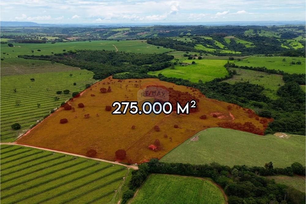 Chácara / Sítio / Fazenda - Venda - São Sebastião do Paraíso , Minas Gerais - WhatsApp Image 2026-01-20 at 09.08.44 (1).jpeg - 870811007-131