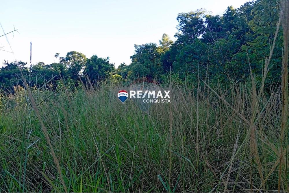 Chácara / Sítio / Fazenda - Venda - Pocrane , Minas Gerais - WhatsApp Image 2025-04-08 at 09.40.30(3).jpeg - 870451001-124