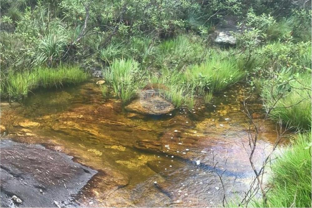 Chácara / Sítio / Fazenda - Venda - Delfinópolis , Minas Gerais - 26.jpg - 870721005-23