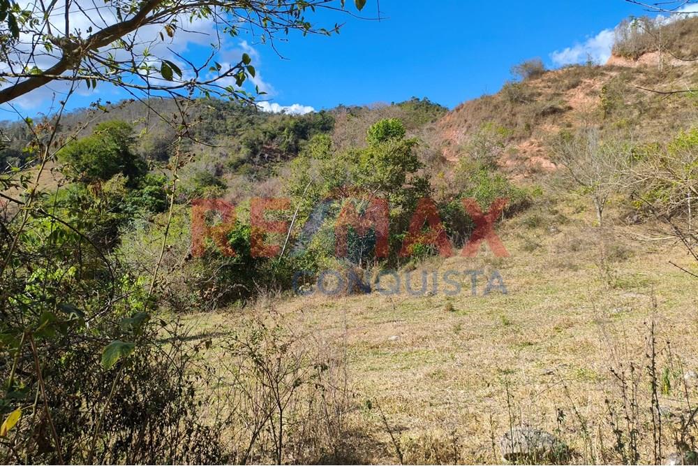 Chácara / Sítio / Fazenda - Venda - Ipanema , Minas Gerais - 0_image_0_watermark_seg._15092025_150753.jpg - 870451013-72