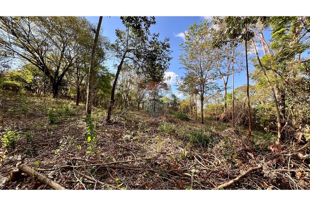 Chácara / Sítio / Fazenda - Venda - Nova Lima , Minas Gerais - WhatsApp Image 2025-10-23 at 11.25.19 (1).jpeg - 870351032-22