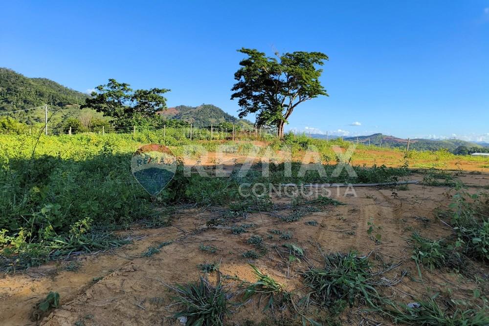 Terreno - Venda - Ipanema , Minas Gerais - 1_image_1_watermark_dom._11012026_132137.jpg - 870451001-161