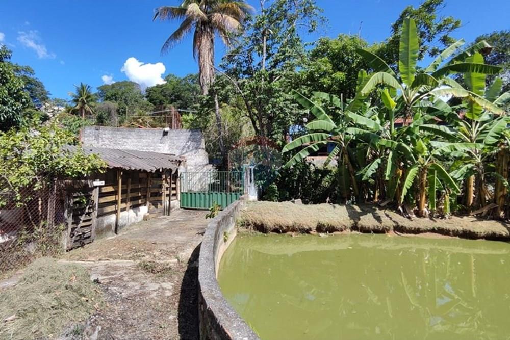 Chácara / Sítio / Fazenda - Venda - Santa Luzia , Minas Gerais - WhatsApp Image 2024-11-25 at 17.56.55 (3).jpeg - 870421007-34