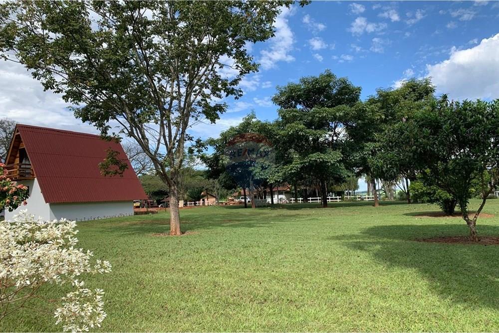 Chácara / Sítio / Fazenda - Venda - Delfinópolis , Minas Gerais - WhatsApp Image 2026-02-04 at 08.04.05.jpeg - 870721005-35