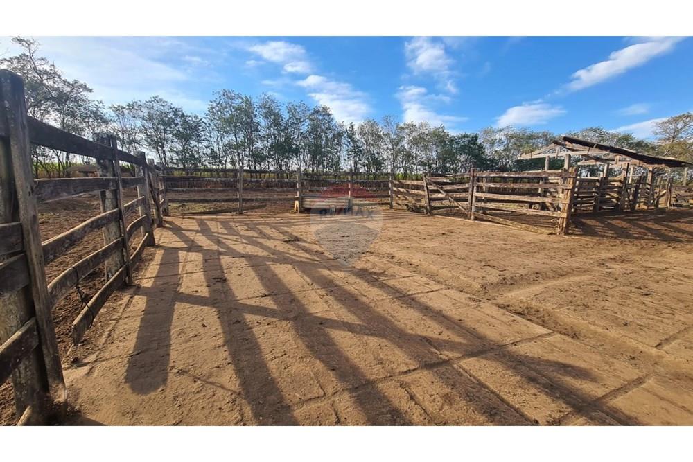 Chácara / Sítio / Fazenda - Venda - Uberaba , Minas Gerais - 17 Fazenda Venda R$ 6.500.000 em Uberaba na Remax 870291025-115.jpeg - 870291025-115