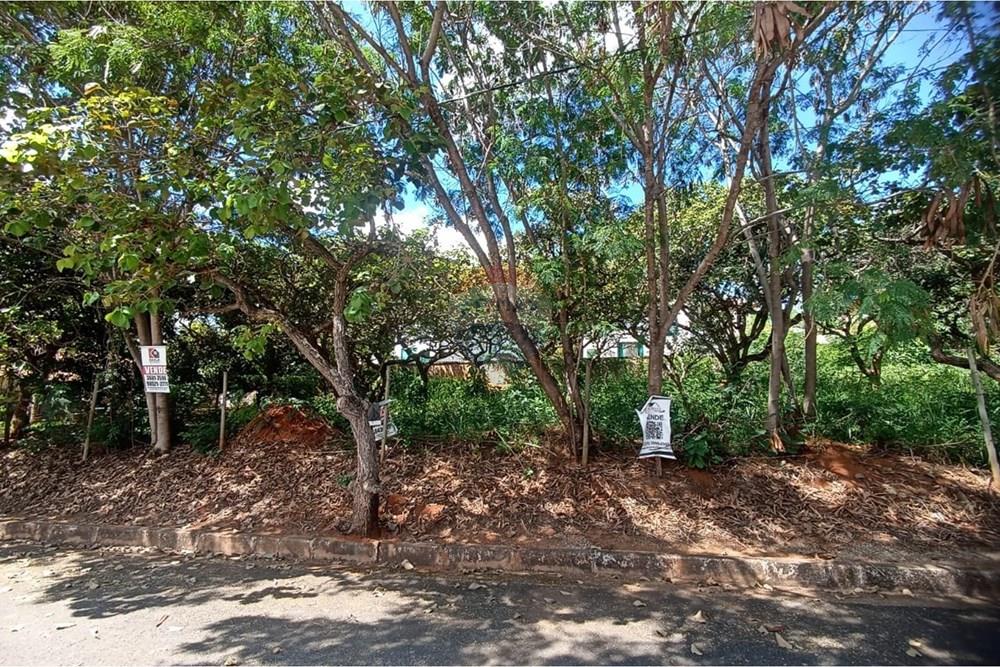 Terreno - Venda - Lagoa Santa , Minas Gerais - WhatsApp Image 2026-01-12 at 14.10.52.jpeg - 870761003-23