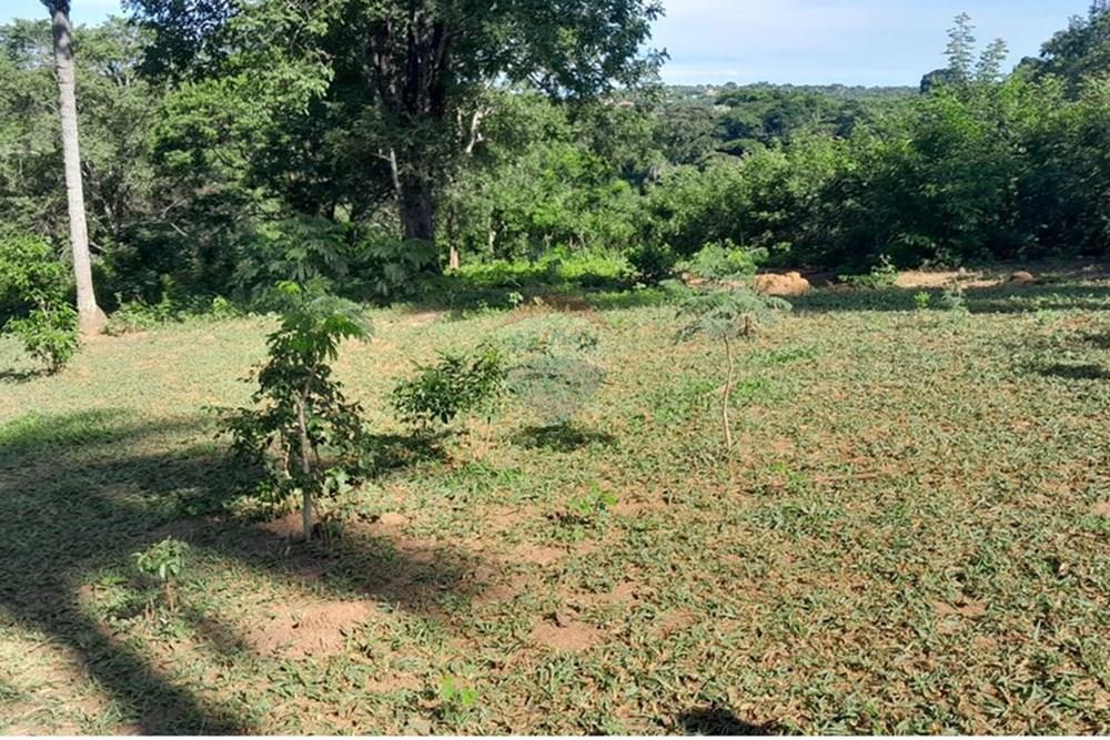 Terreno - Venda - Lagoa Santa , Minas Gerais - FOTO11 FAZENDA .jpg - 870421119-51