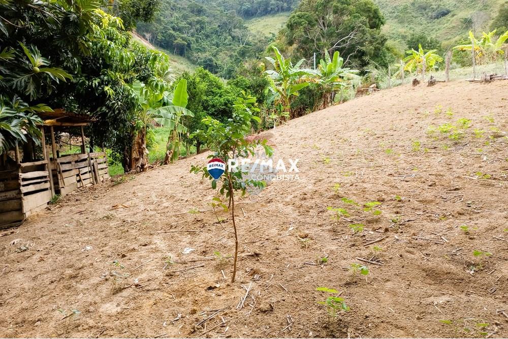 Chácara / Sítio / Fazenda - Venda - Ipanema , Minas Gerais - 0_image_0_watermark_seg._12052025_100554.jpg - 870451004-100