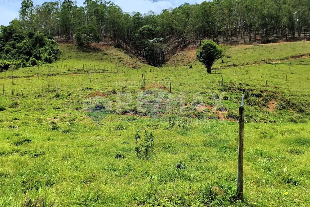 Chácara / Sítio / Fazenda - Venda - Taparuba , Minas Gerais - 9_image_9_watermark_ter._17022026_130523.jpg - 870451001-165
