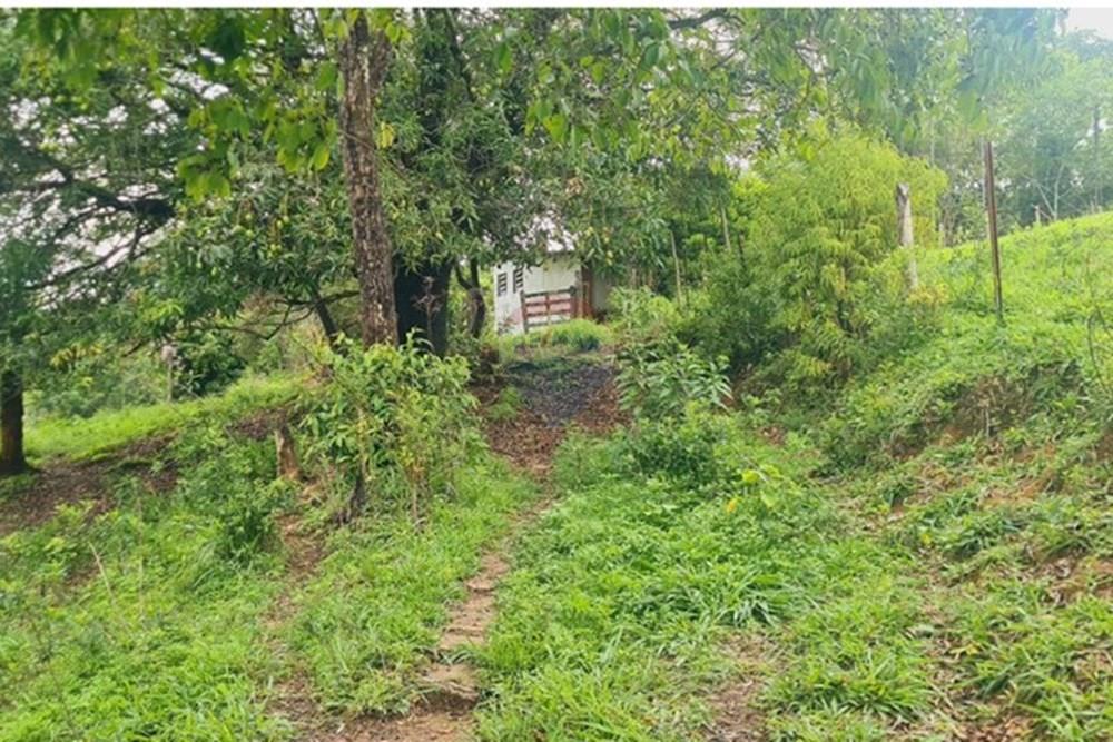 Fazenda - Venda - Pedro Leopoldo , Minas Gerais - WhatsApp Image 2025-12-11 at 15.20.33 (2).jpeg - 870411117-34