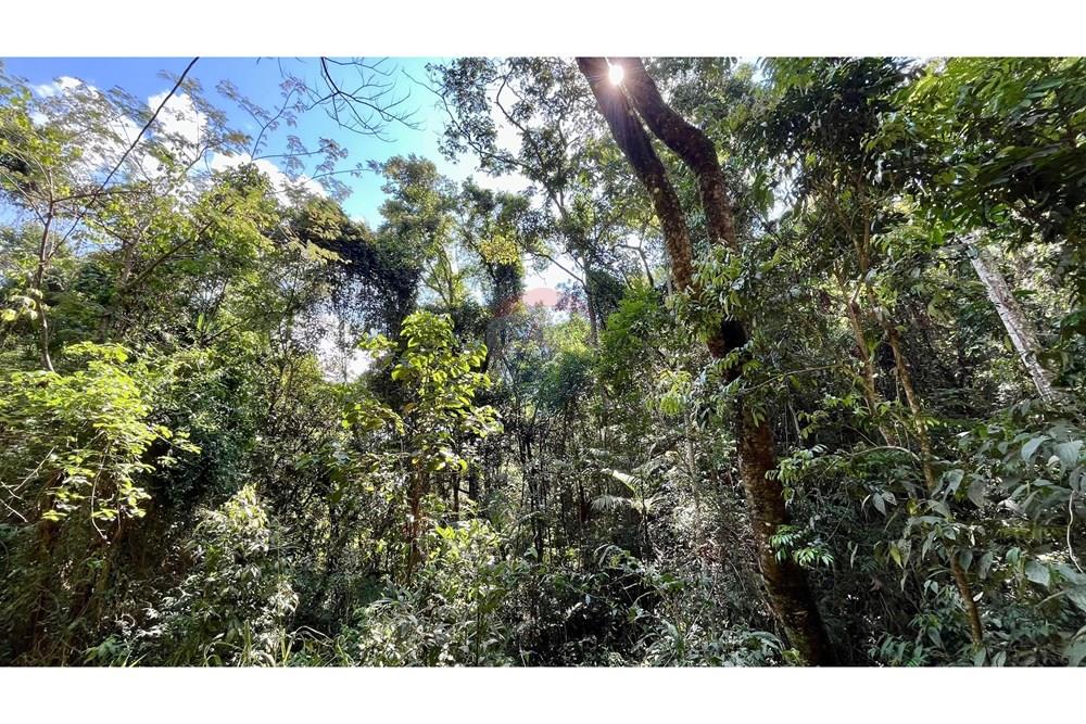 Terreno - Venda - Nova Lima , Minas Gerais - WhatsApp Image 2025-11-04 at 10.48.11 (5).jpeg - 870351032-24