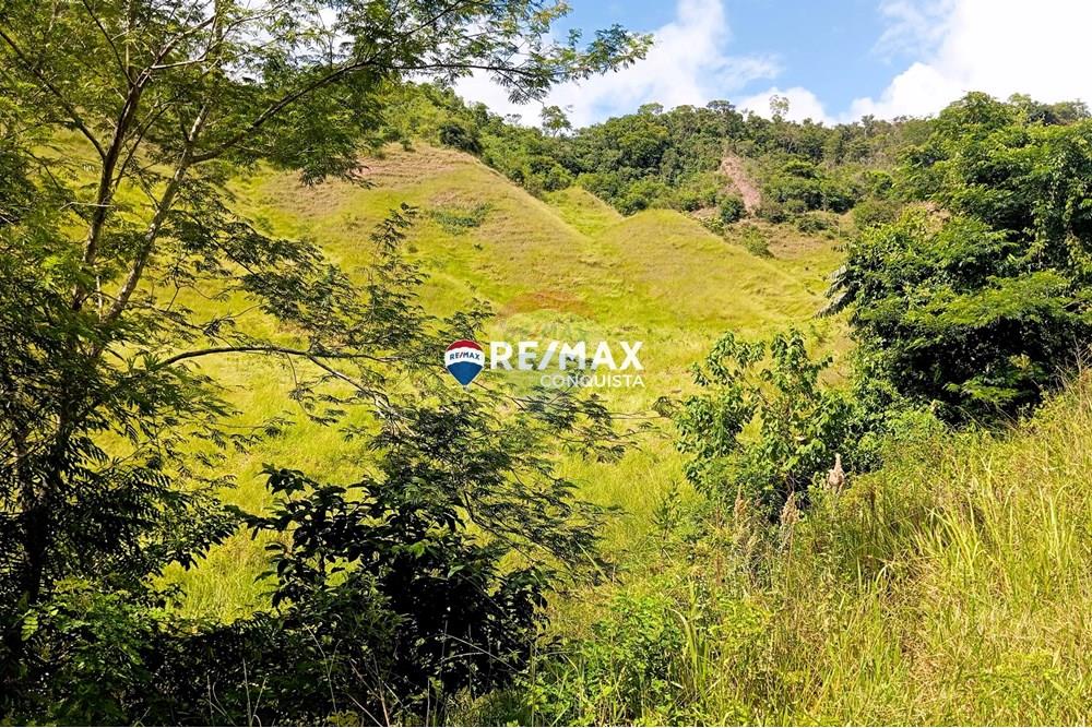 Chácara / Sítio / Fazenda - Venda - Conceição de Ipanema , Minas Gerais - 4_image_4_watermark_sáb._12042025_141659.jpg - 870451013-61