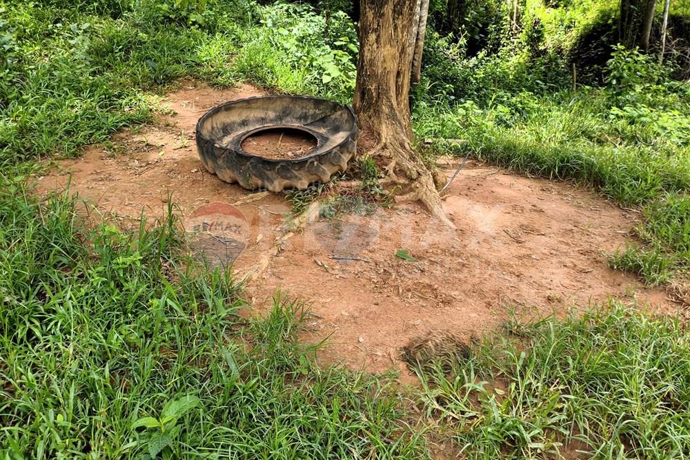 Chácara / Sítio / Fazenda - Venda - Taparuba , Minas Gerais - 5_image_5_watermark_ter._17022026_130810.jpg - 870451001-165