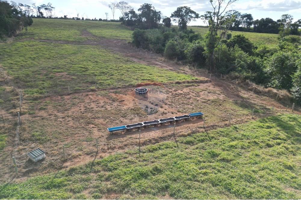 Fazenda - Venda - Uberaba , Minas Gerais - B9.jpeg - 870291037-12