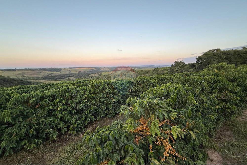 Fazenda - Venda - Ibiá , Minas Gerais - WhatsApp Image 2025-07-07 at 16.23.49 (8).jpeg - 870431012-52