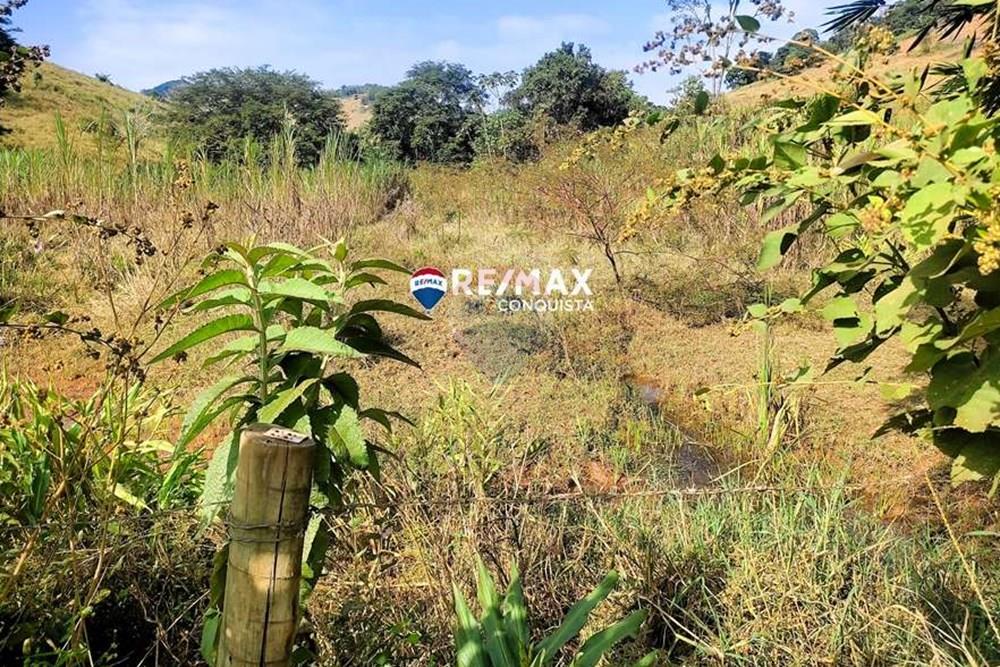 Chácara / Sítio / Fazenda - Venda - Ipanema , Minas Gerais - 1_IMG_20240515_091120_watermark_dom._23062024_100759.jpg - 870451001-121