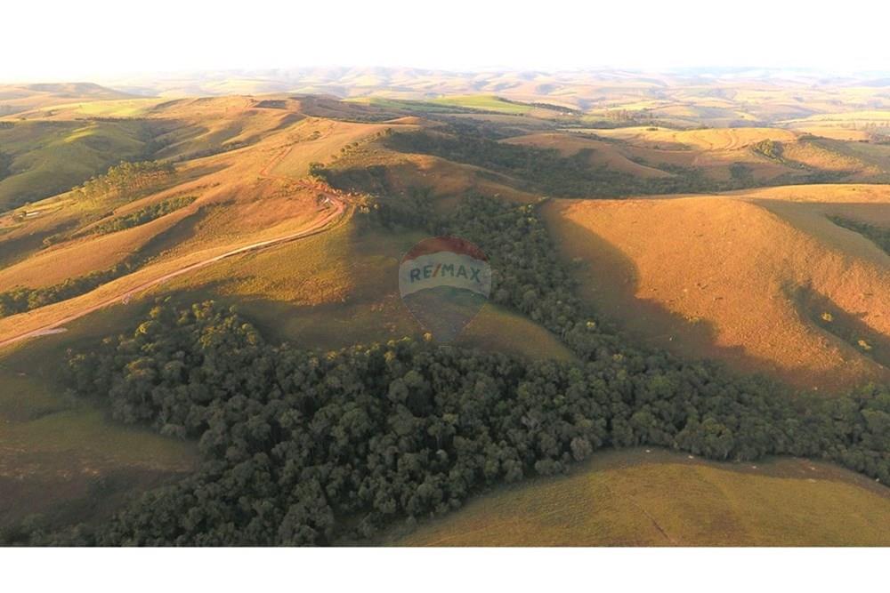 Fazenda - Venda - São Roque de Minas , Minas Gerais - DJI_0042.JPG - 870431039-50