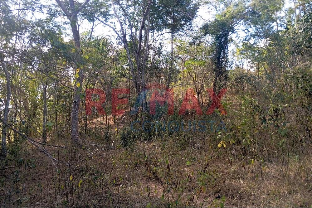 Chácara / Sítio / Fazenda - Venda - Ipanema , Minas Gerais - 8_image_8_watermark_seg._15092025_150605.jpg - 870451013-72