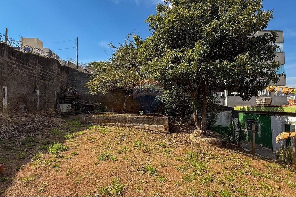 Terreno - Venda - Belo Horizonte , Minas Gerais - IMG_1778.jpg - 870351012-218