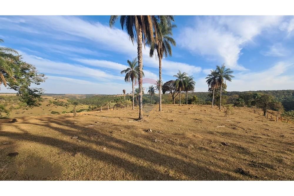 Chácara / Sítio / Fazenda - Venda - Uberaba , Minas Gerais - 34 Fazenda Venda R$ 6.500.000 em Uberaba na Remax 870291025-115.jpeg - 870291025-115