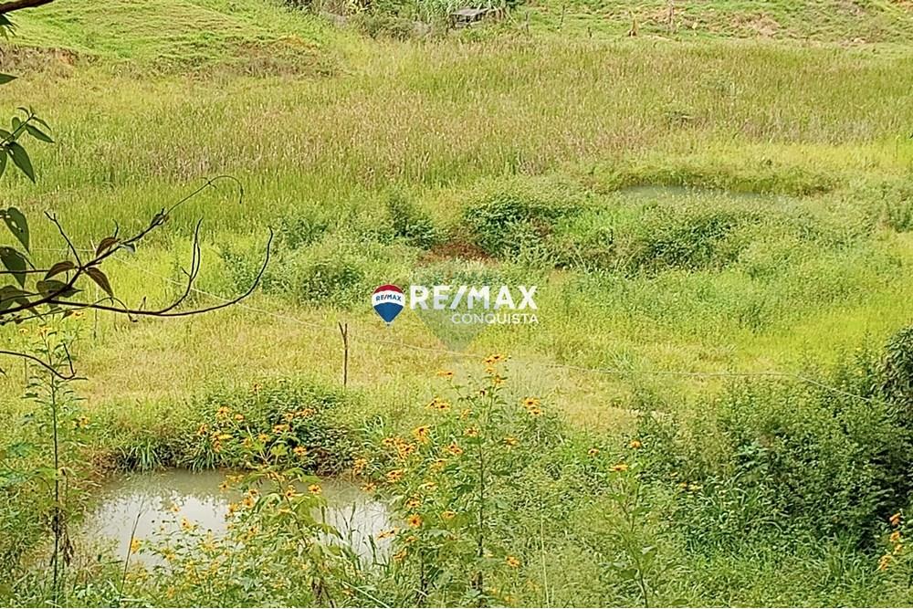 Chácara / Sítio / Fazenda - Venda - Ipanema , Minas Gerais - 8_image_8_watermark_seg._12052025_100737.jpg - 870451004-100