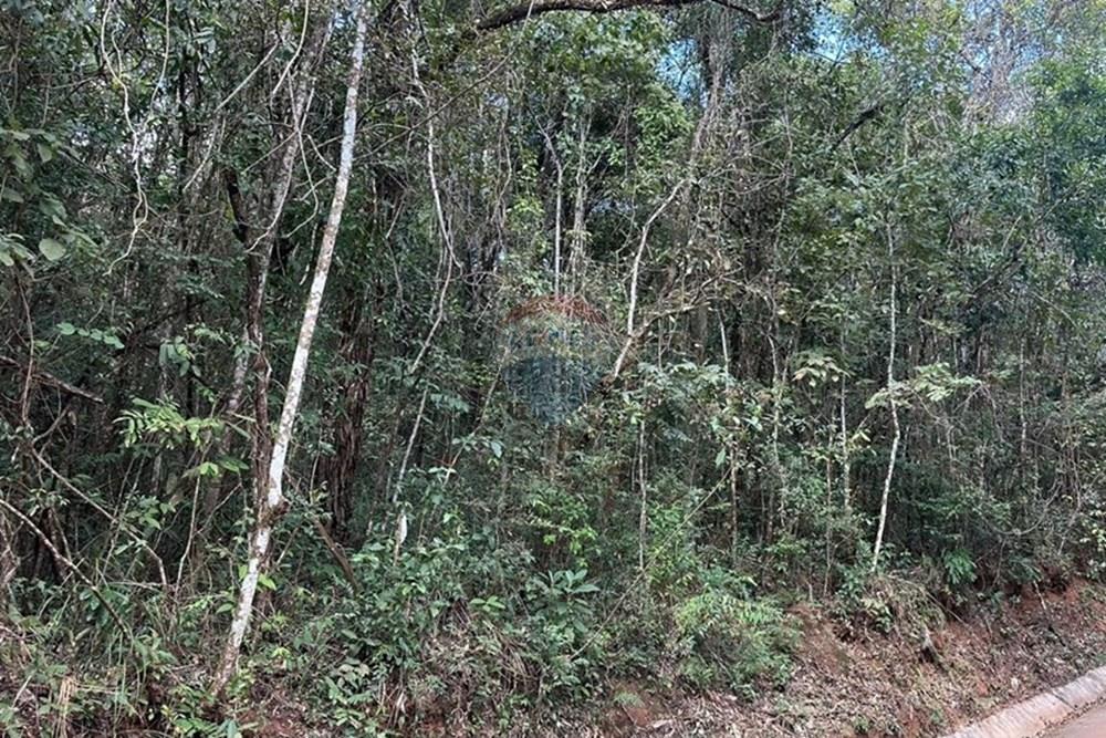 Terreno - Venda - Nova Lima , Minas Gerais - WhatsApp Image 2025-07-24 at 10.47.31.jpeg - 870351032-18