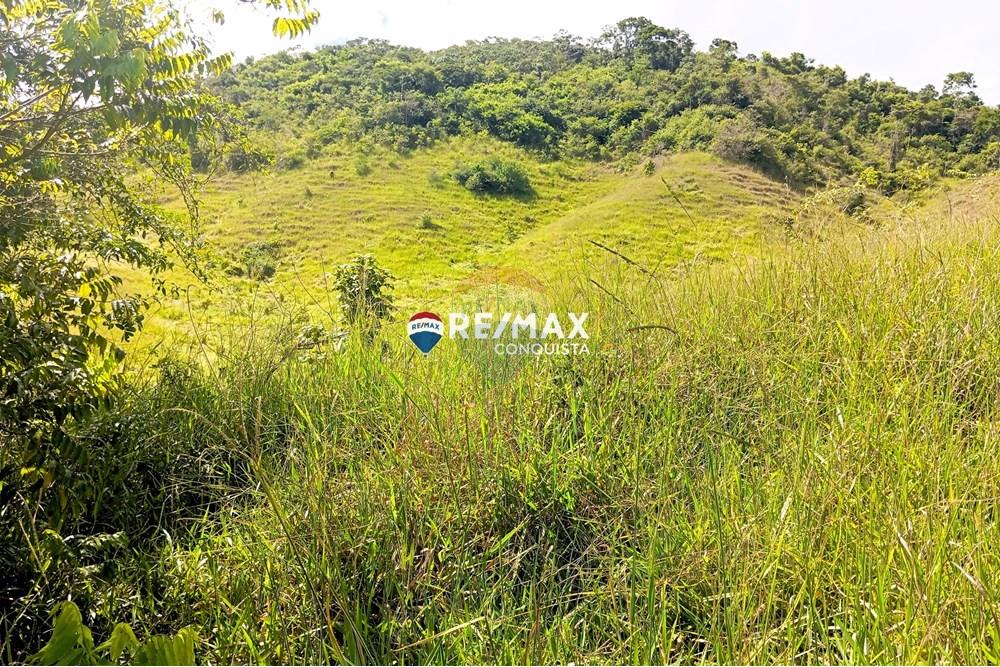 Chácara / Sítio / Fazenda - Venda - Conceição de Ipanema , Minas Gerais - 9_image_9_watermark_sáb._12042025_141558.jpg - 870451013-61