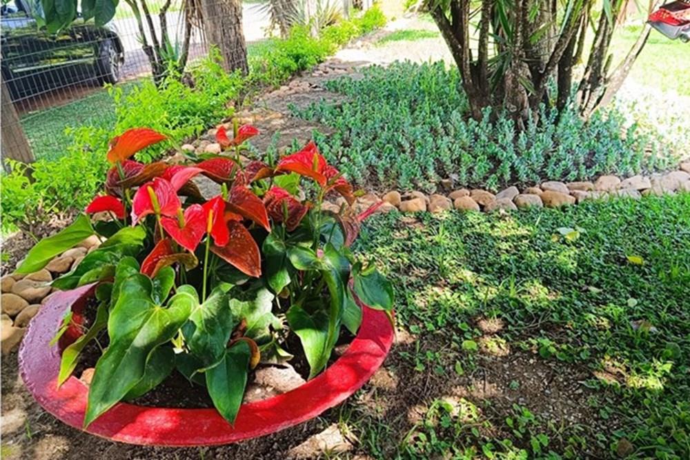 Terreno - Venda - Brumadinho , Minas Gerais - WhatsApp Image 2025-11-20 at 10.07.24.jpeg - 870421014-349