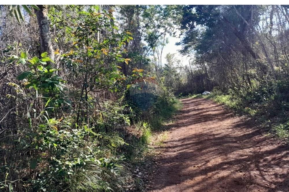 Terreno - Venda - Lagoa Santa , Minas Gerais - FOTO18 FAZENDA .jpg - Loft - 870421119-51