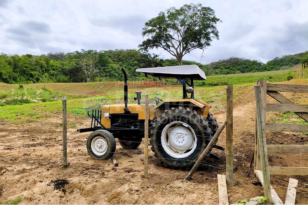Chácara / Sítio / Fazenda - Venda - Ipanema , Minas Gerais - 8_image_8_watermark_qui._20112025_124422.jpg - 870451013-80