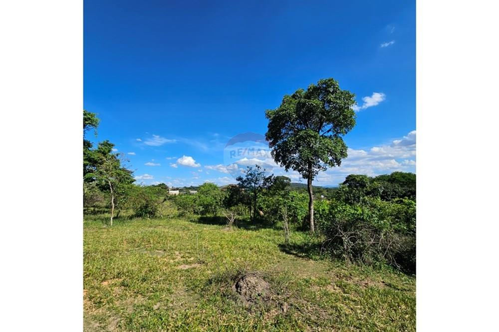 Terreno - Venda - Contagem , Minas Gerais - 20260112_152231.jpg - 870241034-67